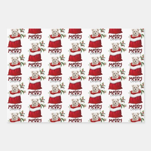 Feuille De Papier Cadeau Petit Chien Chien en Chien en Vacances Maltais (Devant 3)