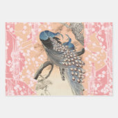 FEUILLE DE PAPIER CADEAU PETITS OISEAUX, COCHERS DE PEAU, ROSES ROSES ROSES (Devant 3)