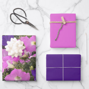 Feuille De Papier Cadeau Photo Du Matin Gloire Fleurs Roses Et Violettes
