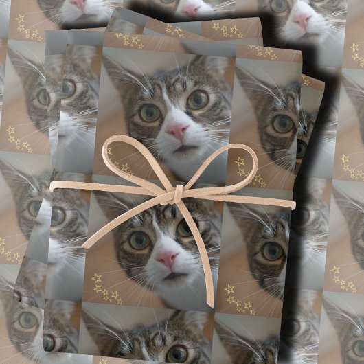 Feuille De Papier Cadeau Photo personnalisé drôle