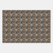 Feuille De Papier Cadeau Pi Xiu Mythical Guardian Asian Art Sheet Gift Wrap (Devant 2)