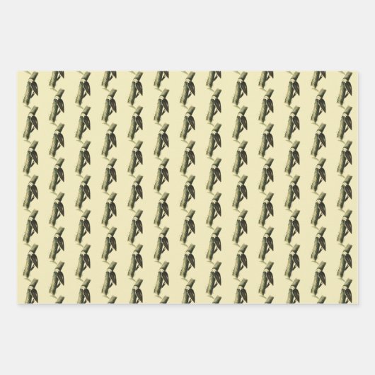 Feuille De Papier Cadeau Pic noir et blanc (Devant 2)