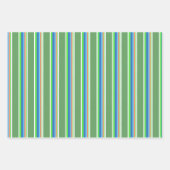 Feuille De Papier Cadeau Pickleball Été, Pickleball Fête à thème (Devant 2)