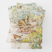 Feuille De Papier Cadeau Pierre le lapin (En situation)