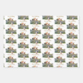 Feuille De Papier Cadeau Pierre les ballons de lapin Premier anniversaire (Devant)