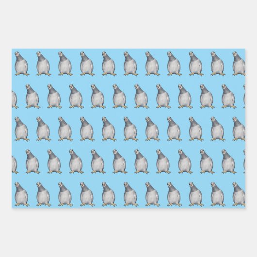 Feuille De Papier Cadeau Pigeons mignons (Devant)