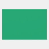 Feuille De Papier Cadeau Pigment Shamrock clair Sap Vert Tons 3 Tons (Devant)