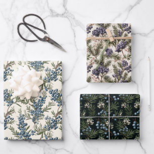 Feuille De Papier Cadeau Pin Juniper