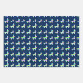 Feuille De Papier Cadeau Pinatas (Devant 2)