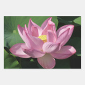 Feuille De Papier Cadeau Pink Lotus Flower IV (Devant)