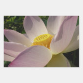 Feuille De Papier Cadeau Pink Lotus Flower IV (Devant 3)