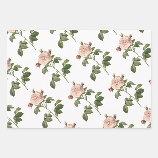 Feuille De Papier Cadeau Pink Rose Pattern (Devant)