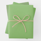 Feuille De Papier Cadeau Pistache Plaine Asperges Vert Tons 3 (En situation)