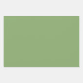 Feuille De Papier Cadeau Pistache Simple Asperge Vert Nuances 3 Tons (Devant 3)
