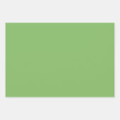 Feuille De Papier Cadeau Pistache Simple Asperge Vert Nuances 3 Tons (Devant 2)