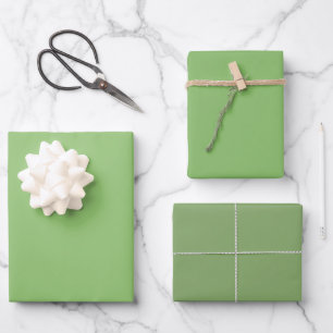 Feuille De Papier Cadeau Pistache Simple Asperge Vert Nuances 3 Tons