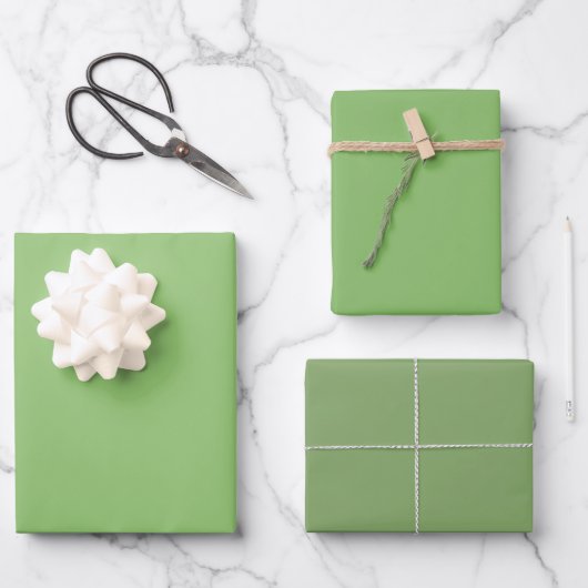 Feuille De Papier Cadeau Pistache Simple Asperge Vert Nuances 3 Tons (Recto)