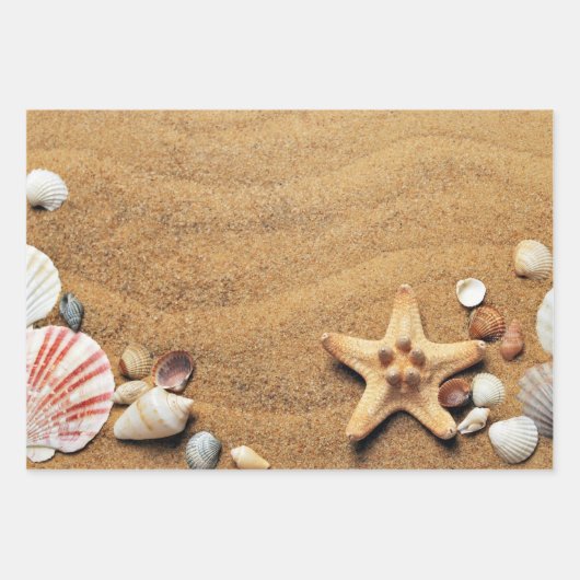 Feuille De Papier Cadeau Plage Holiday Seashells (Devant)