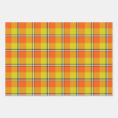 Feuille De Papier Cadeau Plaid Orange Flamboyant et Fleur d'Oiseau (Devant)