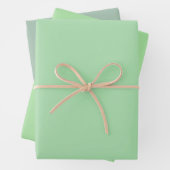 Feuille De Papier Cadeau Plain Celadon Pomme Cambridge Green Tons 3 (En situation)