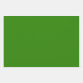 Feuille De Papier Cadeau Plain Dartmouth La Salle tons verts 3 tons (Devant 3)