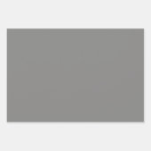 Feuille De Papier Cadeau Plain Nevada Nickel Vieux Silver Gris Tons 3 (Devant 3)