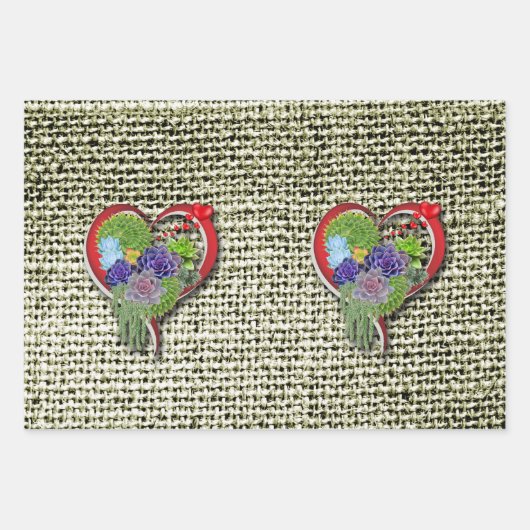 Feuille De Papier Cadeau Plantes de jardin succulents (Devant)