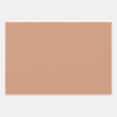 Feuille De Papier Cadeau Plaque Sienna laiton Burlywood Brown Tons 3