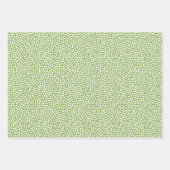 Feuille De Papier Cadeau Plomb de fleurs ditsy (Devant)