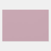 Feuille De Papier Cadeau Plume Fantastique (Devant 2)