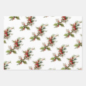 Feuille De Papier Cadeau Poinsététie et saint (Devant 3)