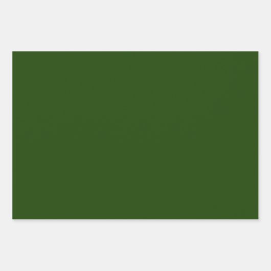 Feuille De Papier Cadeau Poinsettias blanches sur Arrière - plan vert (Devant 3)