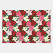 Feuille De Papier Cadeau Poinsettias de Noël mixtes (Devant)