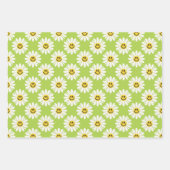 Feuille De Papier Cadeau Pointe Polka de marguerite verte (Devant)