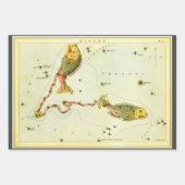 Feuille De Papier Cadeau Poisson des Poissons, Miroir d'Urania de constella (Devant 2)