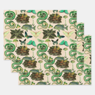 Feuille De Papier Cadeau Poisson et papillon de serpents verts