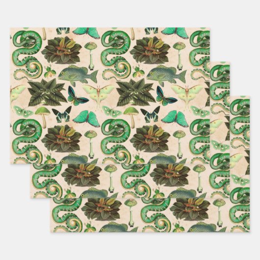 Feuille De Papier Cadeau Poisson et papillon de serpents verts (Lot)