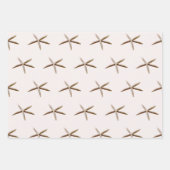 Feuille De Papier Cadeau Poisson étoilé bleu crème (Devant 2)