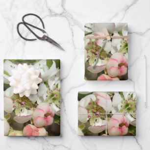 Feuille De Papier Cadeau Pomme bourre fleur