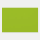 Feuille De Papier Cadeau Pomme de mer plate Fleur vert nuances 3 tons (Devant 2)