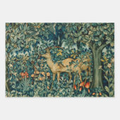 FEUILLE DE PAPIER CADEAU POMONA TENANT DES FRUITS EN VERDURE, ANIMAUX FORES (Devant 3)