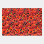 Feuille De Papier Cadeau Poppy (Devant)
