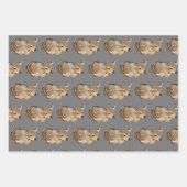 Feuille De Papier Cadeau Porcupine, écureuil et faune (Devant 3)