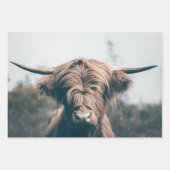 Feuille De Papier Cadeau Portrait de vache Highland (Devant 2)