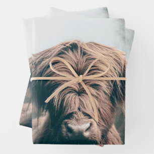 Feuille De Papier Cadeau Portrait de vache Highland