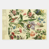 Feuille De Papier Cadeau Poster vintage Hollyhock Fleurs (Devant 2)