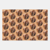 Feuille De Papier Cadeau Poupées et amis français (Devant)