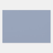 Feuille De Papier Cadeau Pretty Blue Butterfly Birthday (Devant 2)