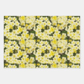 Feuille De Papier Cadeau Primroses du printemps (Devant 3)