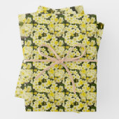 Feuille De Papier Cadeau Primroses du printemps (En situation)